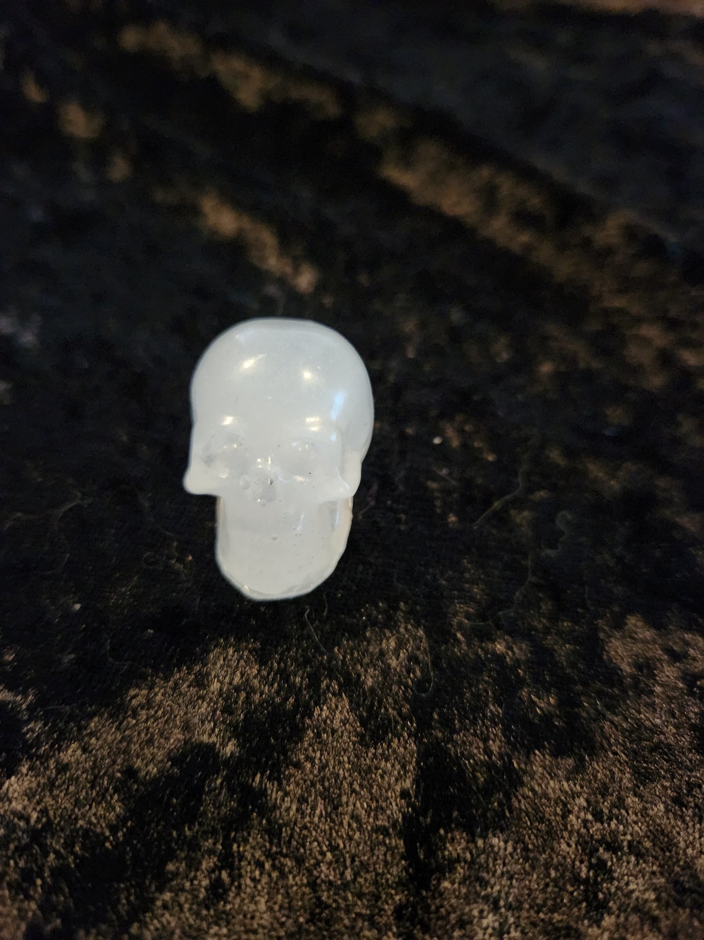 Mini Skull Paperweight