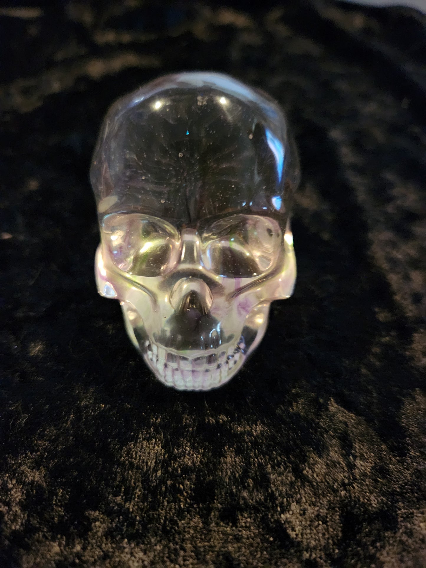 Skull Paperweight