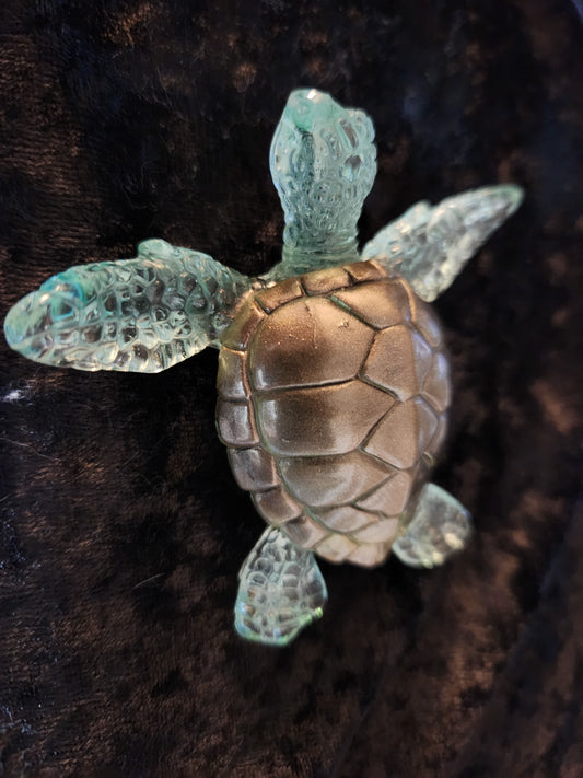 Sea Turtle