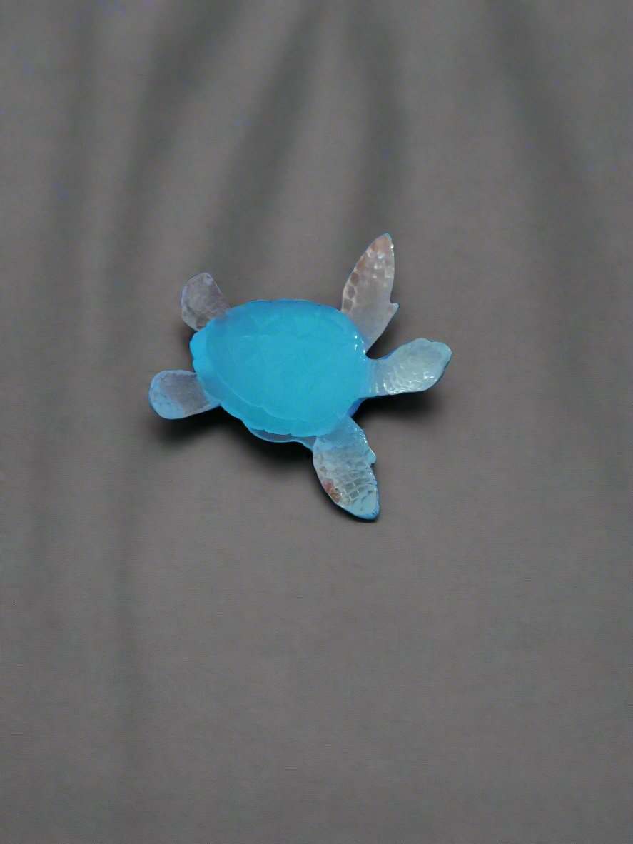 Sea Turtle