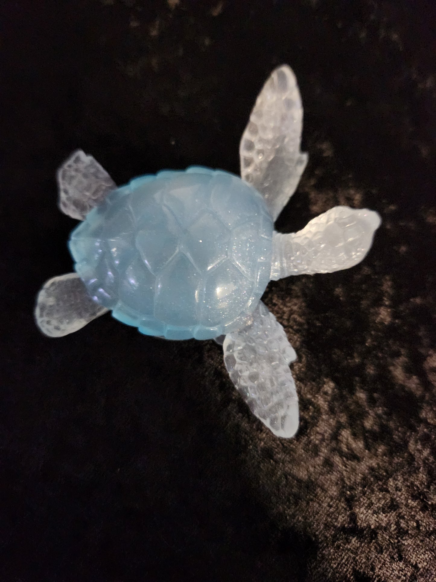 Sea Turtle